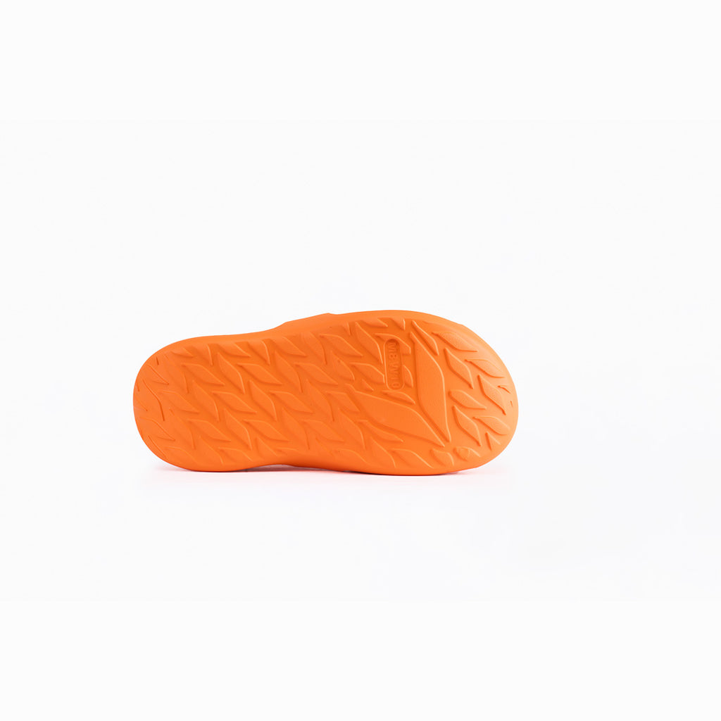 EMBER Solar Orange